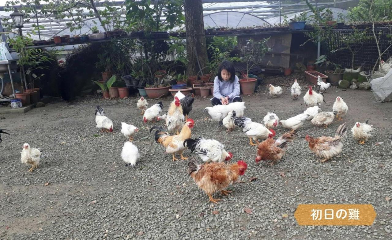 Alishan Sunrise B&B Fanlu 외부 사진